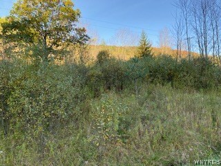 Property Photo:  Lot D Maples Road  NY 14731 