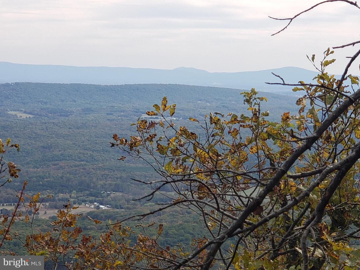 Property Photo: Lot 78 Bobcat Trail VA 22602