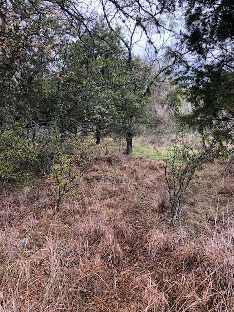 Property Photo:  Lot 456 Sandy Mountain Drive  TX 78643 