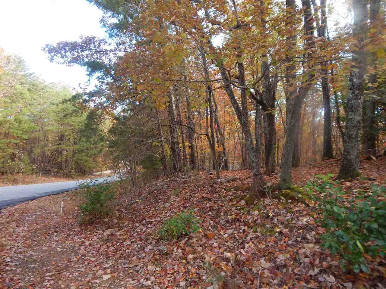 Property Photo:  0 Panorama Drive 8  GA 30571 