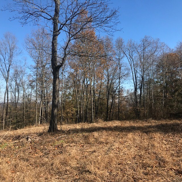 Property Photo:  0 Booker Ridge Rd  TN 38474 