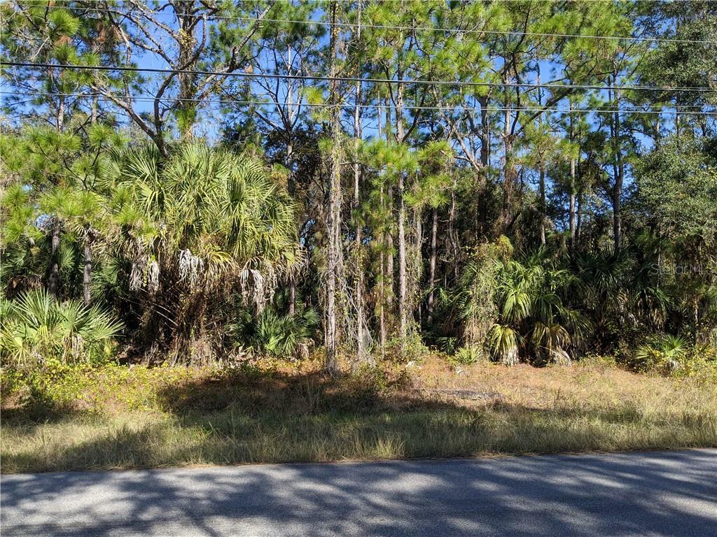 Property Photo:  Ageman Avenue  FL 34288 