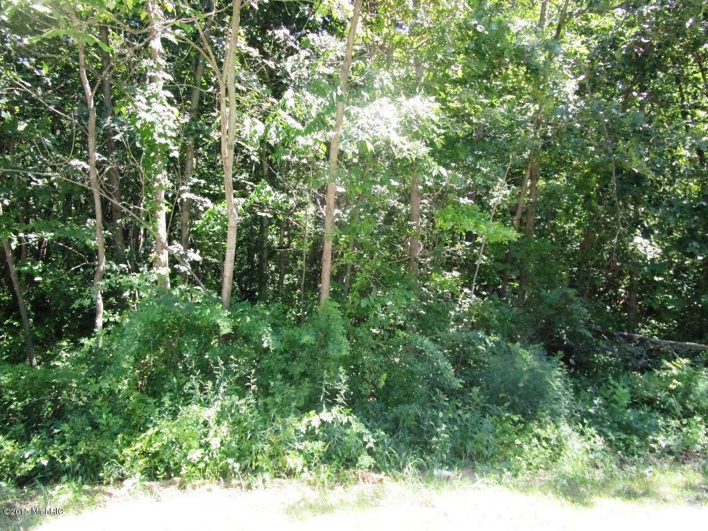Property Photo: 0 56th Street MI 49450
