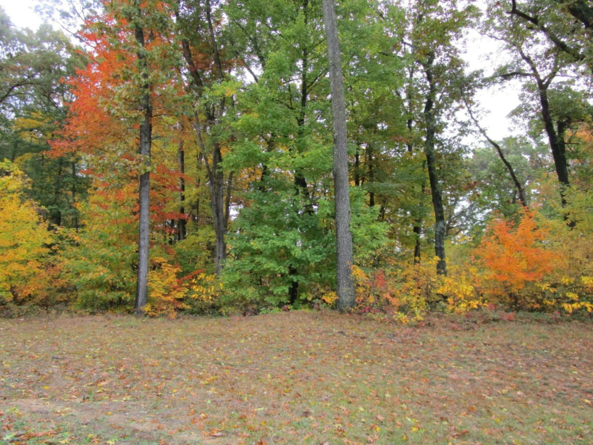 Property Photo:  2959 Whisper Lane  MI 49419 