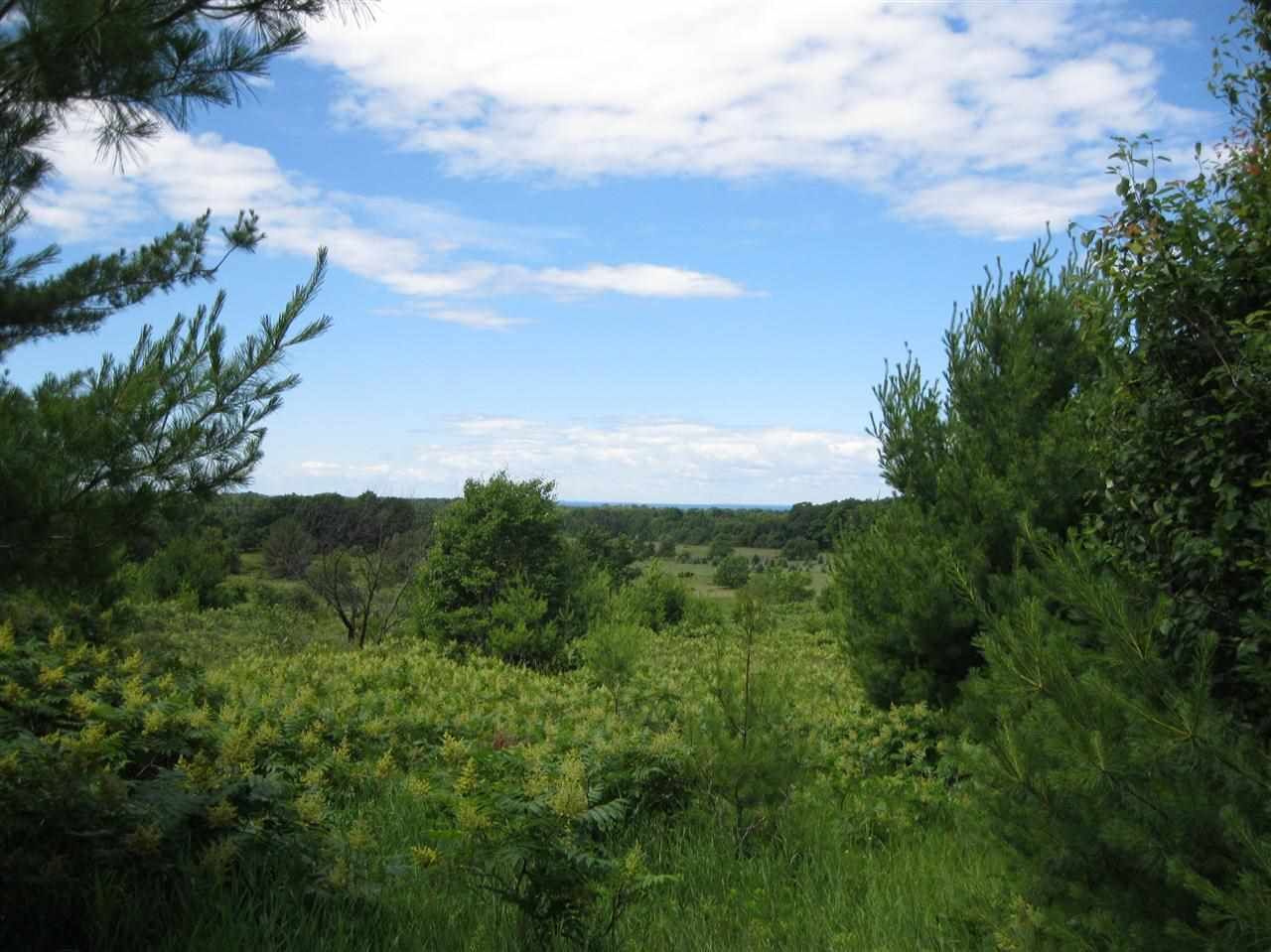 Property Photo:  Oak  MI 49723 