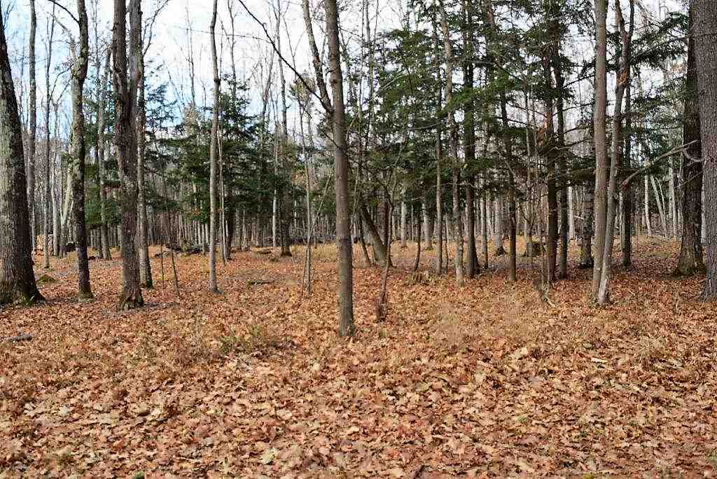 Property Photo:  7620 Ridge  MI 49740 