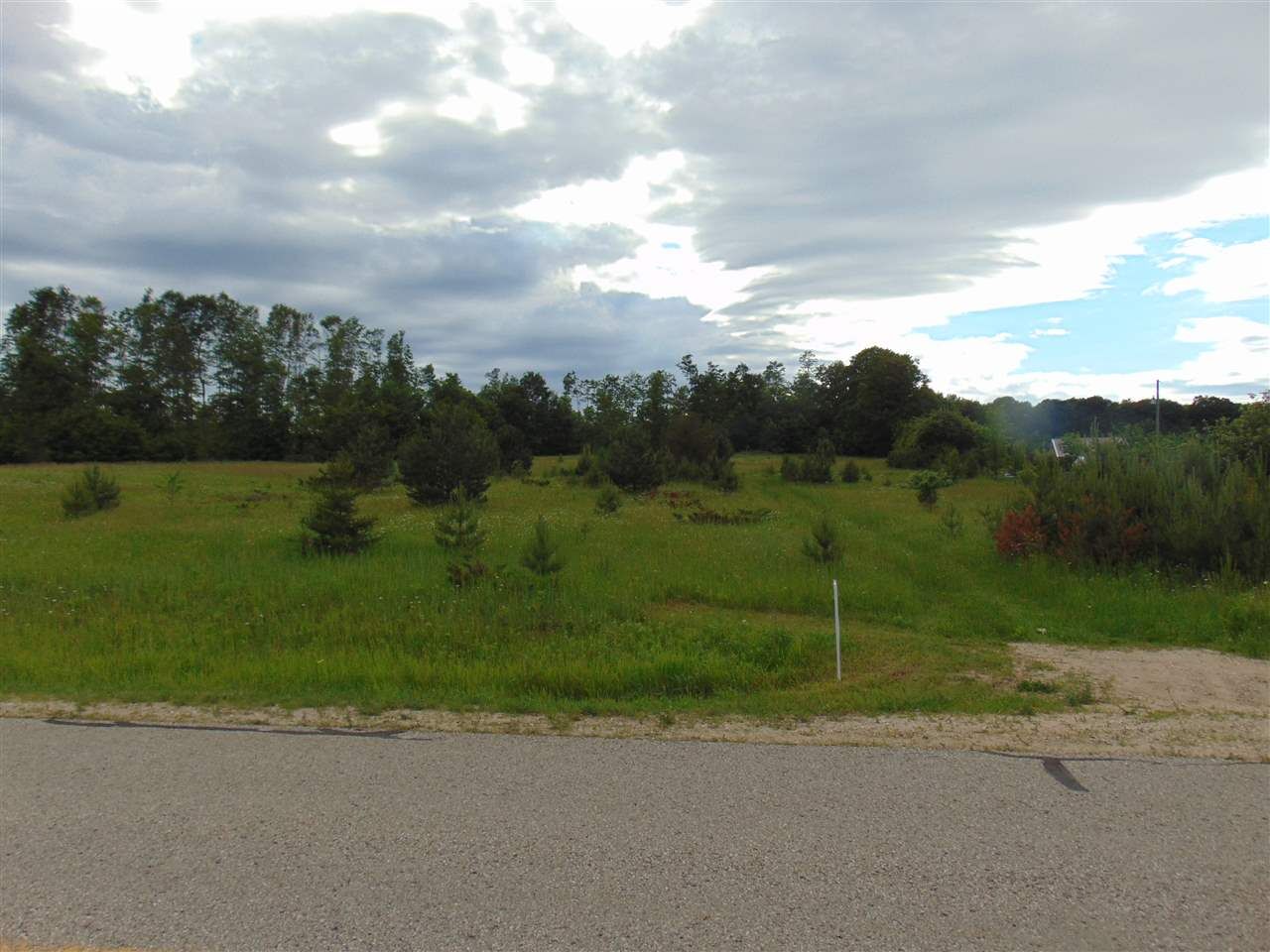 Property Photo:  Tbd Van  MI 49740 