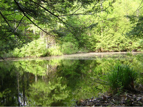 Property Photo:  95 Bonds Corner Road  NH 03449 