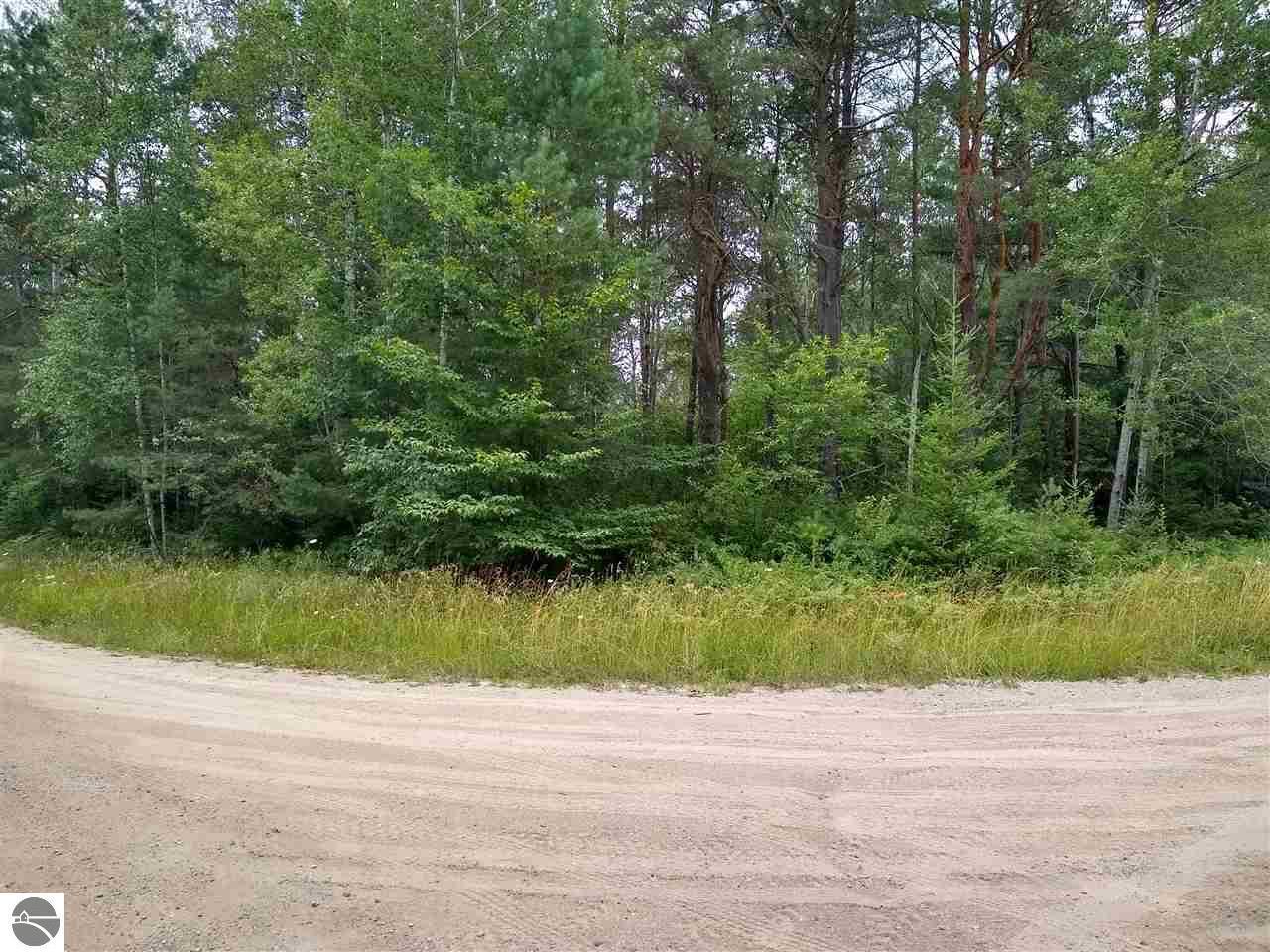 Property Photo: 17110 21 Mile Road MI 49688