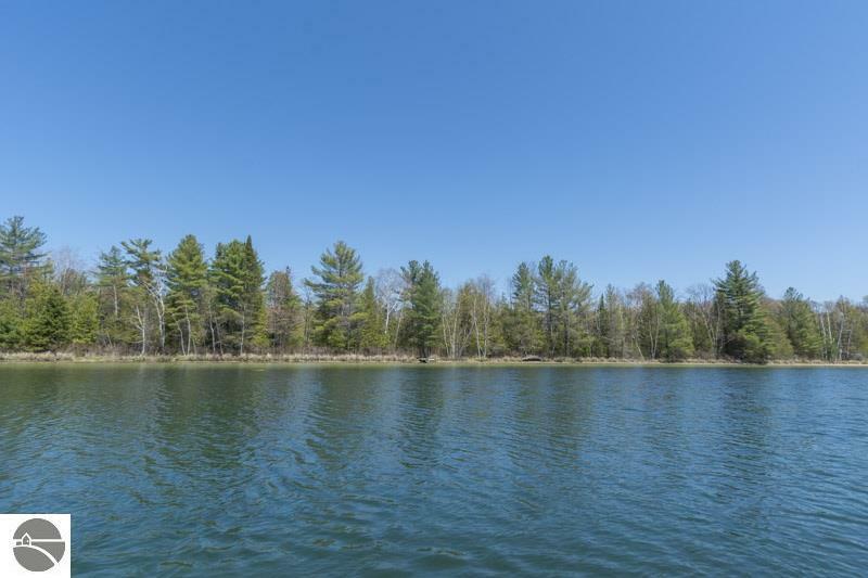 Property Photo:  E Traverse Lake Road  MI 49621 