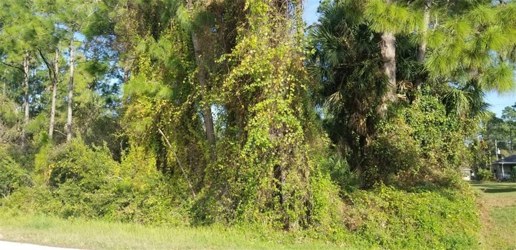 Property Photo:  Sylvania Avenue  FL 34286 