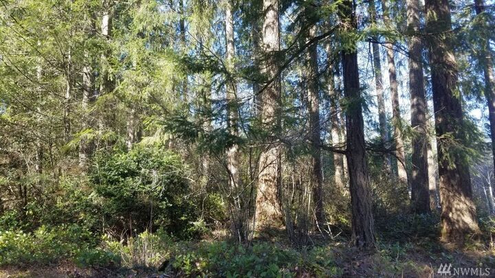 Property Photo: 0 E Sunset Hill Rd WA 98584