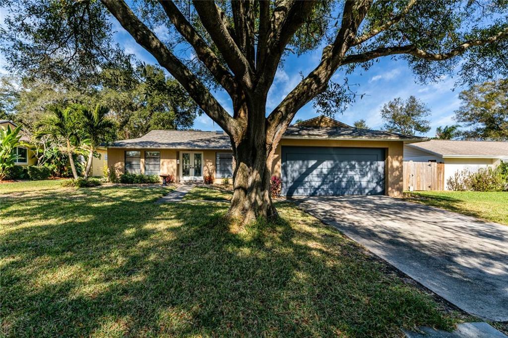 Property Photo:  1674 Eden Court  FL 33756 