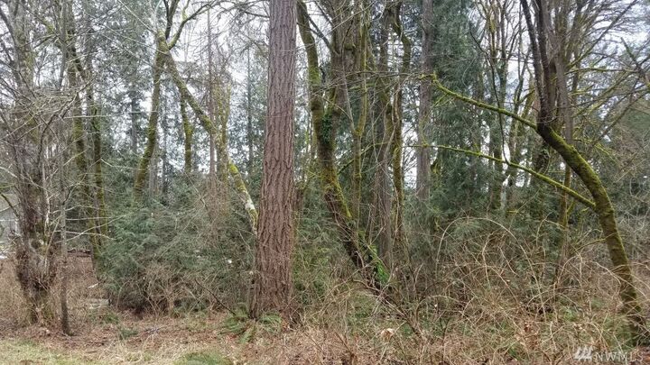 Property Photo:  590 E Wood Lane  WA 98584 