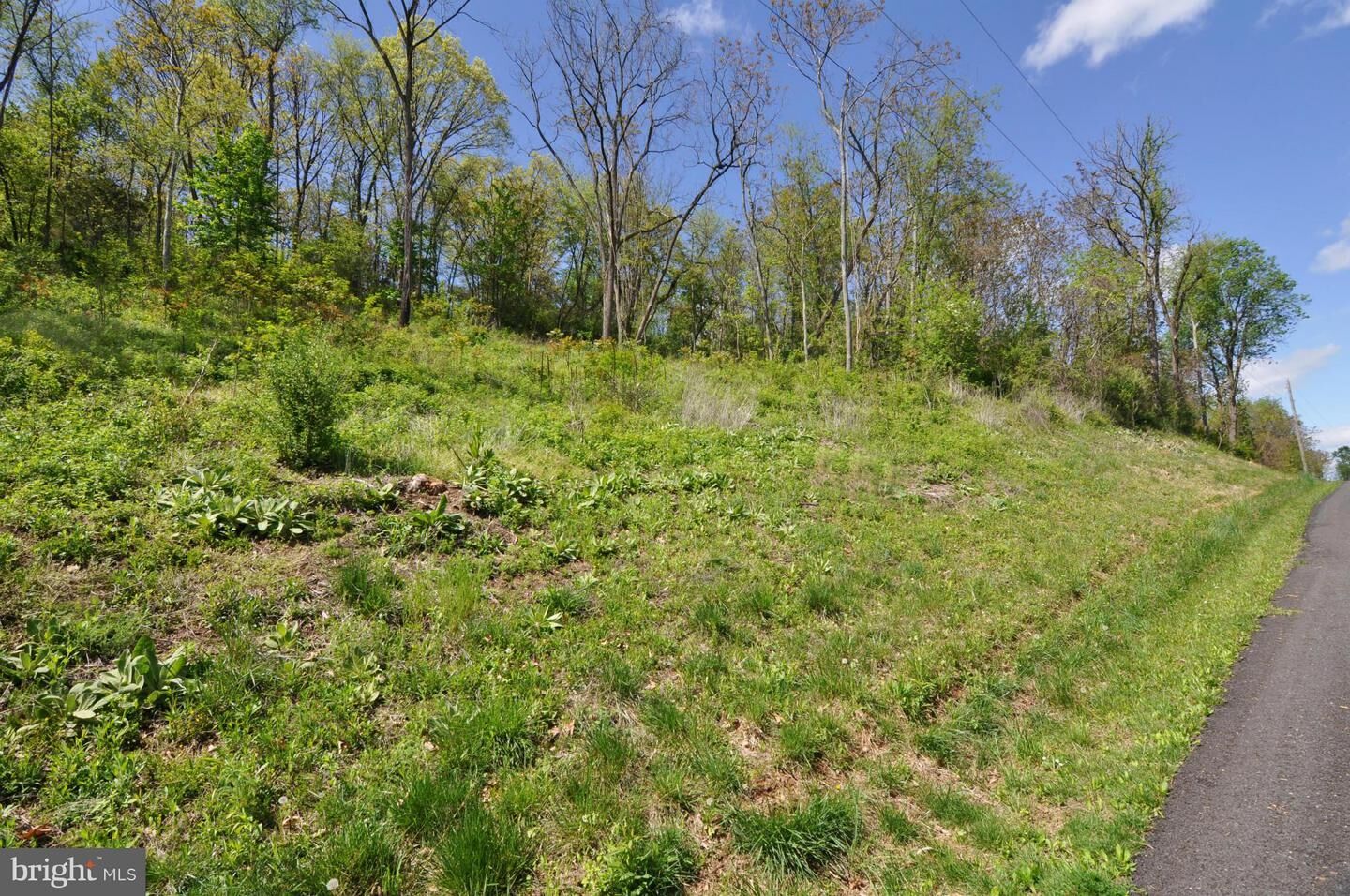 Property Photo:  Lot 83 Tom Tom  VA 22602 