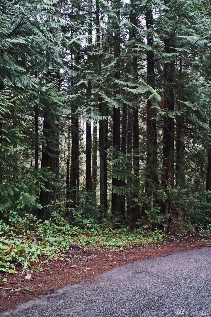 13 SE Arcadia Shores Rd  Shelton WA 98484 photo