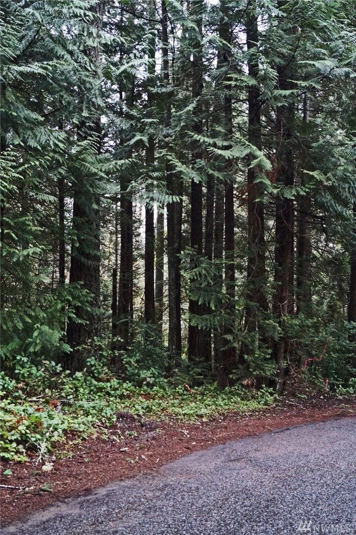 Property Photo: 13 SE Arcadia Shores Rd WA 98484