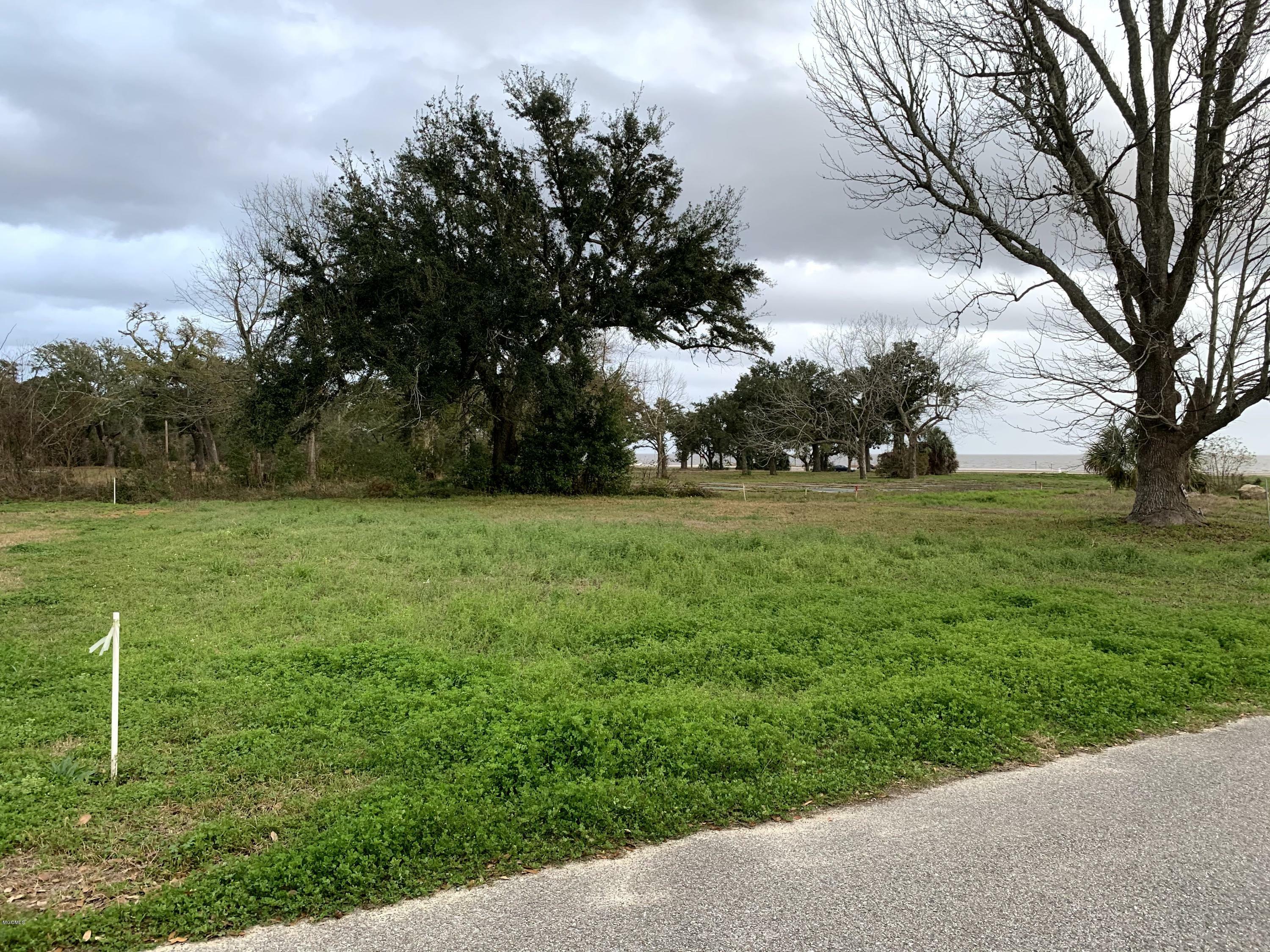 Property Photo: 217 Oak Gardens Avenue MS 39560