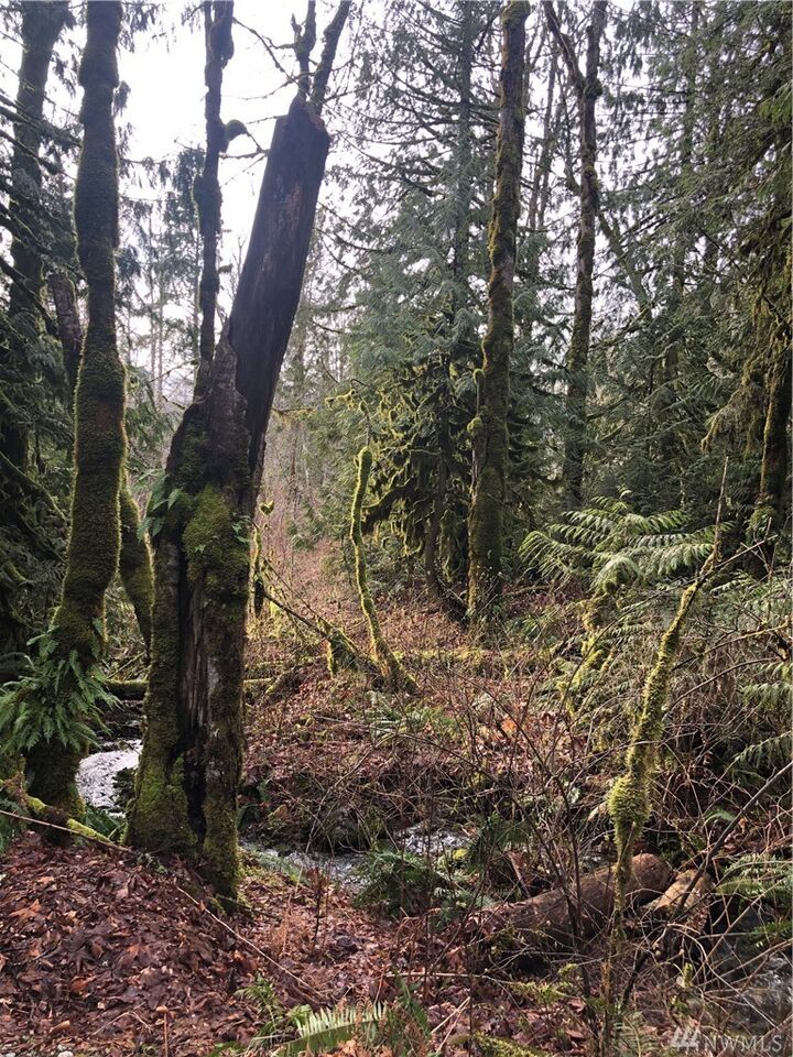Property Photo:  Xxx Mt. Baker Hwy  WA 98244 