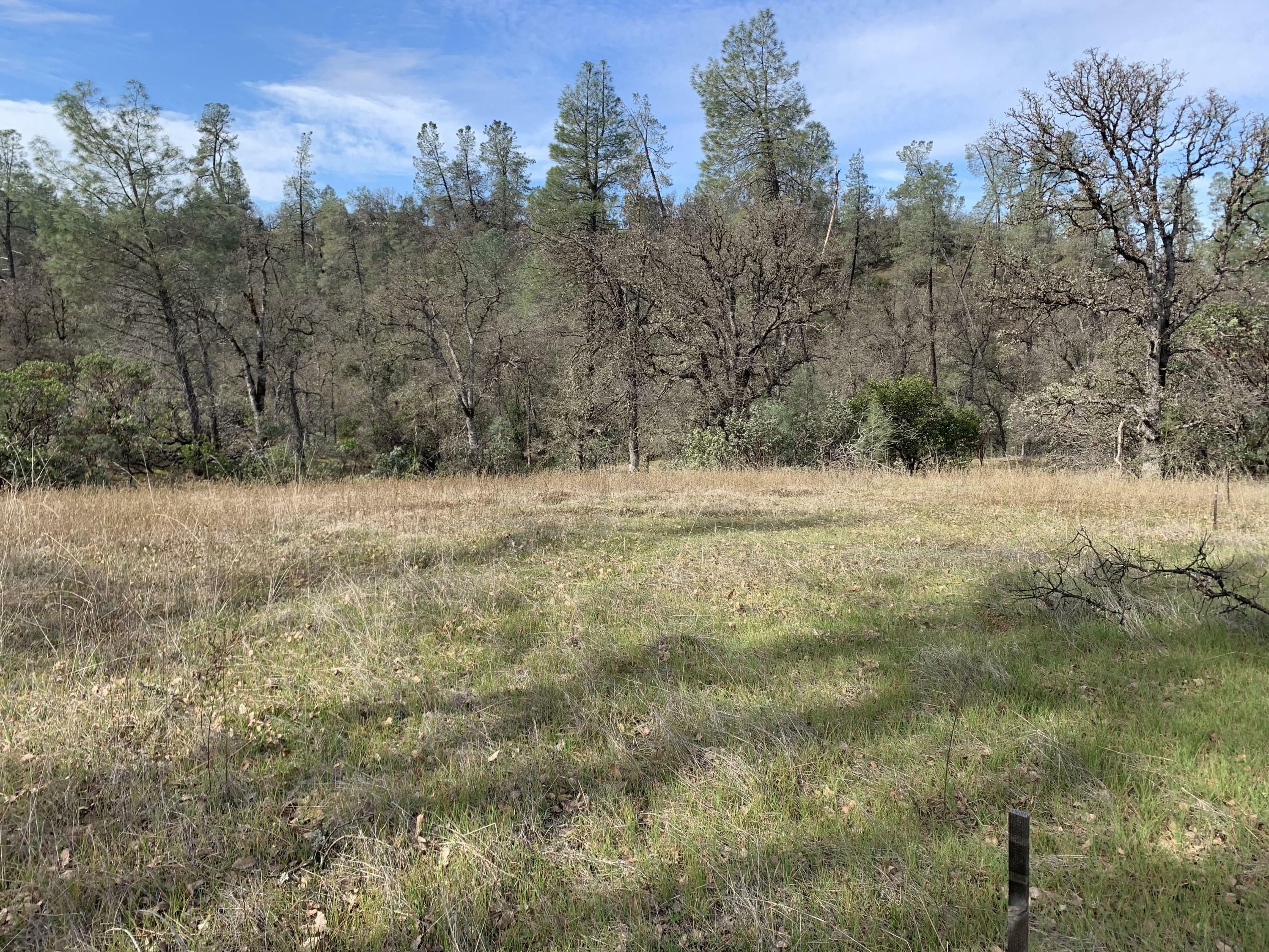 Property Photo:  Lot 3 Quail Ridge Rd  CA 96022 