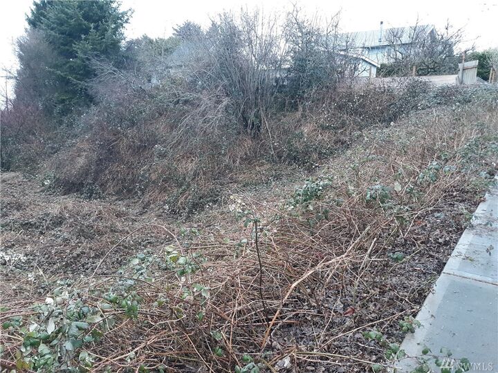 Property Photo: 532 S Concord St WA 98108