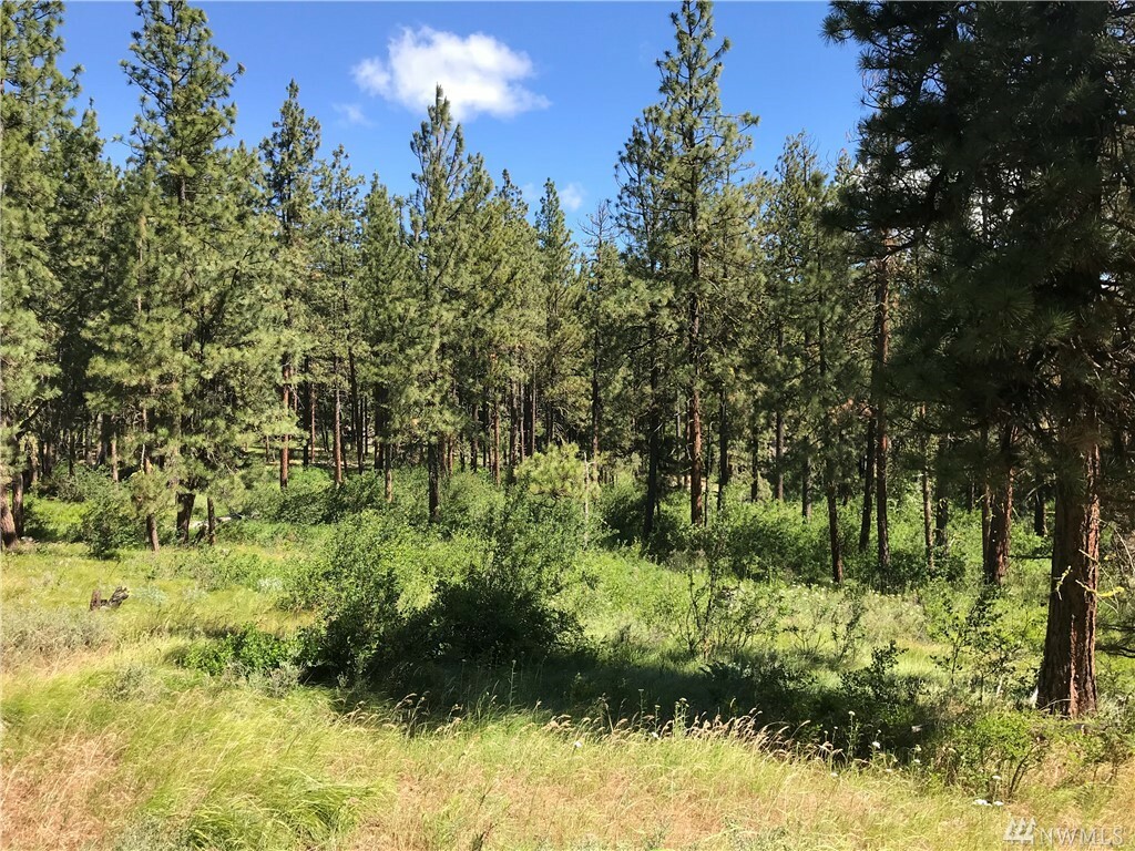 Property Photo:  Lot 5 Mountain Creek Dr  WA 98922 