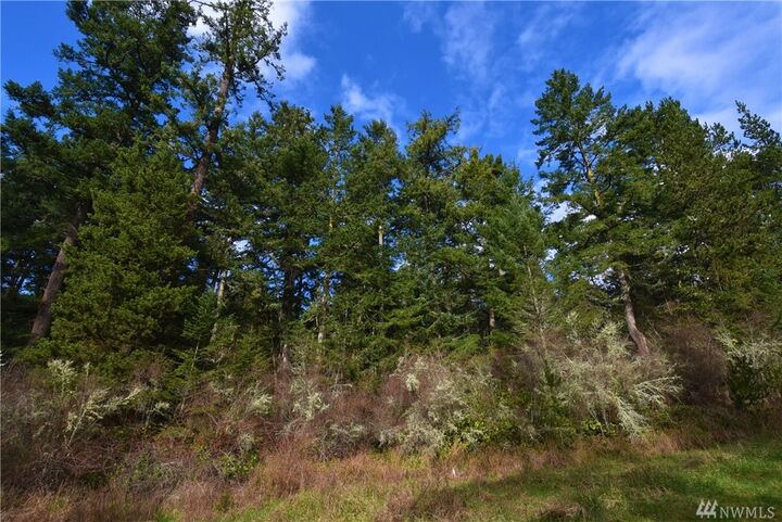 Property Photo: 32 Rosario Ct WA 98221