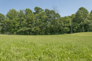 Property Photo: River Stone Rd TN 37709
