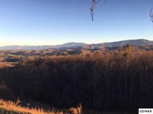 Property Photo: Lot 104 Laurel Cove Tr TN 37862