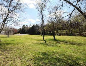 Lot 12 Lenore Lane  Spring City TN 37381 photo