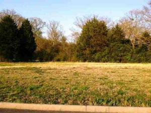 Property Photo:  Lot 38 County Road 7030  TN 37303 