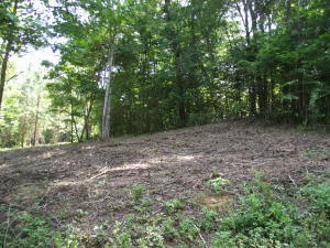 Property Photo:  Decatur Hwy/Squaw Valley  TN 37763 