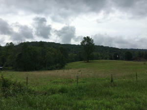 Old Johnston Valley Rd Rd  Kingston TN 37763 photo