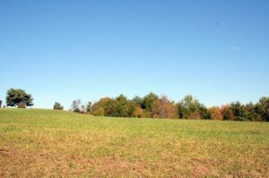 Property Photo:  3950 Freels Rd  TN 37737 