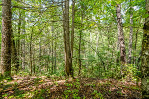 Property Photo:  Rudd Hollow Road Rd  TN 37882 