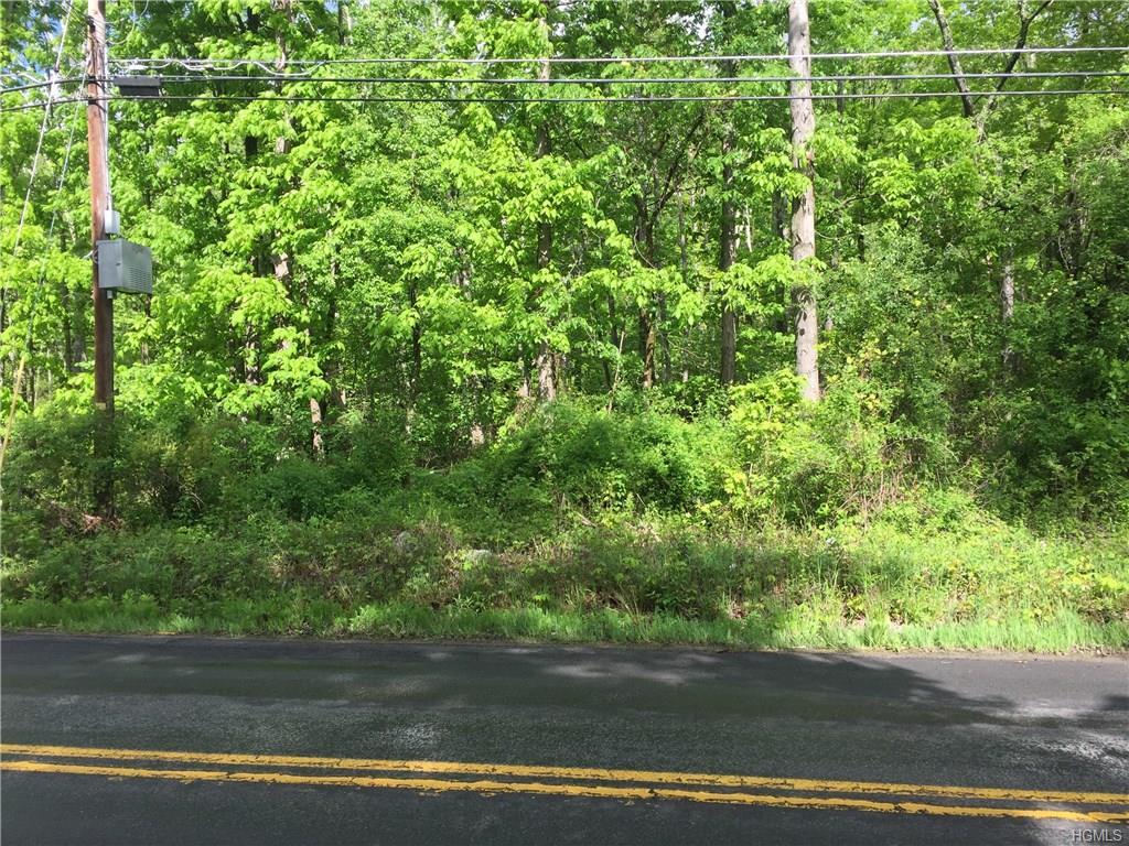 0 Roosa Gap Road  Wurtsboro NY 12790 photo