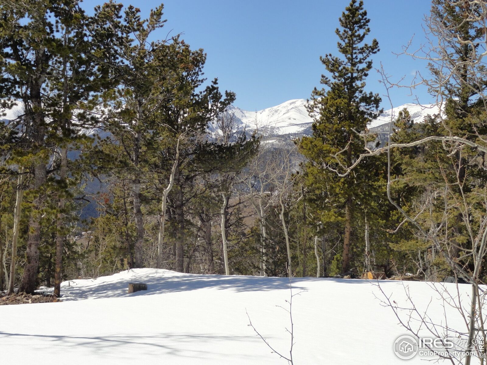 Property Photo: 0 Bald Mountain Dr CO 80427