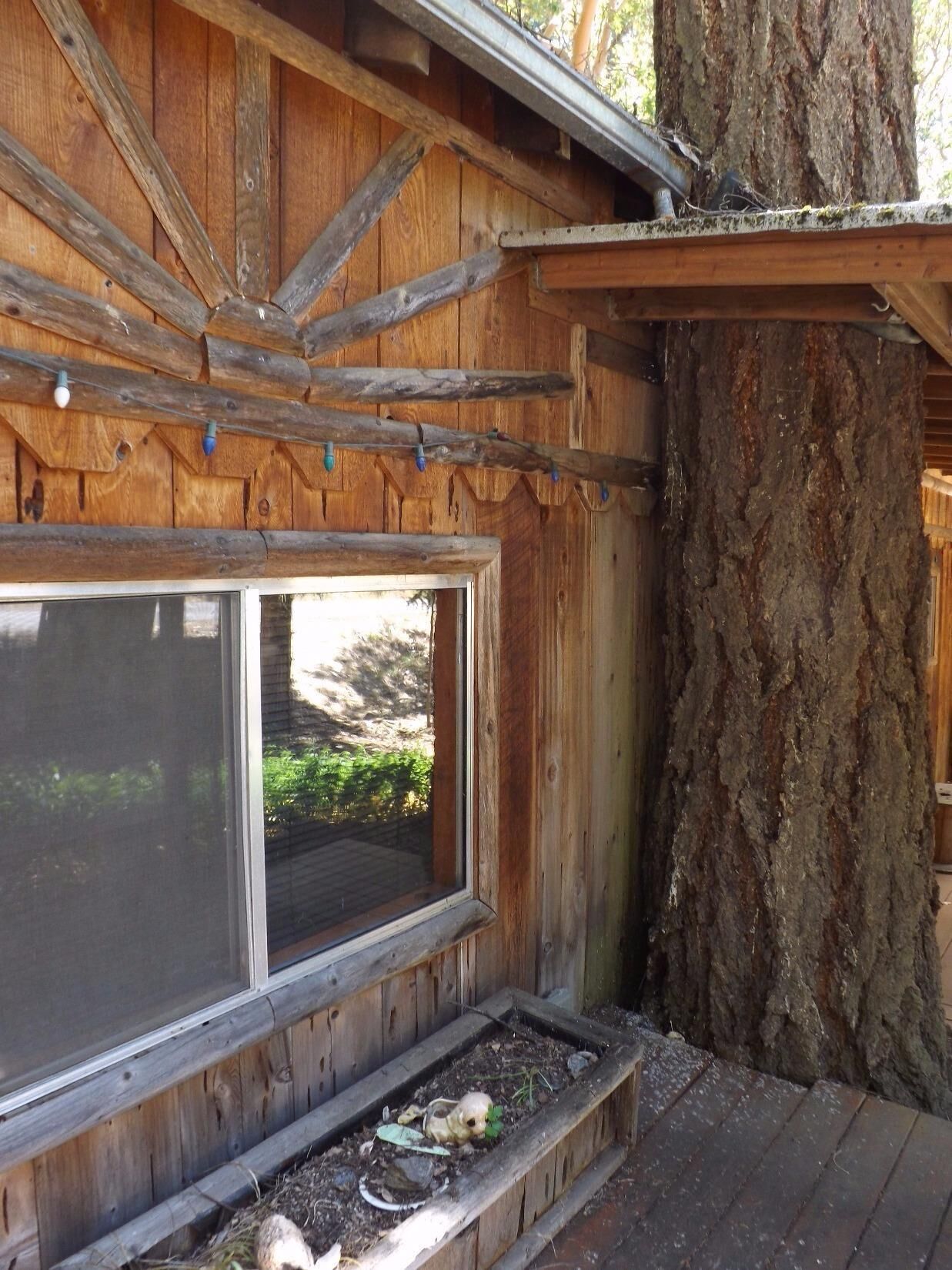 Property Photo: 317 Forest Creek Road OR 97530