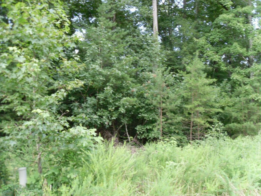 Property Photo:  12 Eagle Ridge Rd  TN 37854 