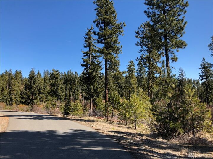 Property Photo: Lot 3 Big Tail Road WA 98922