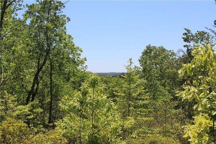 Lot 5 Owl Mountain Trail  Ellijay GA 30536 photo