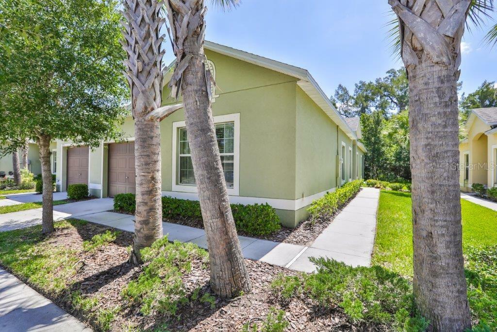 Property Photo:  1703 Trailwater Street  FL 33570 