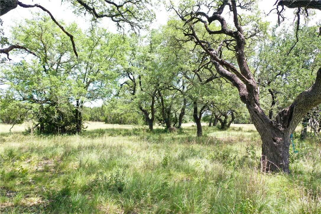 Property Photo:  Tbd Medlin Creek Loop  TX 78620 