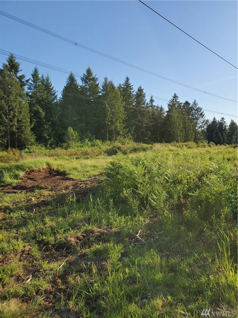 Property Photo:  7912 329th St S  WA 98582 