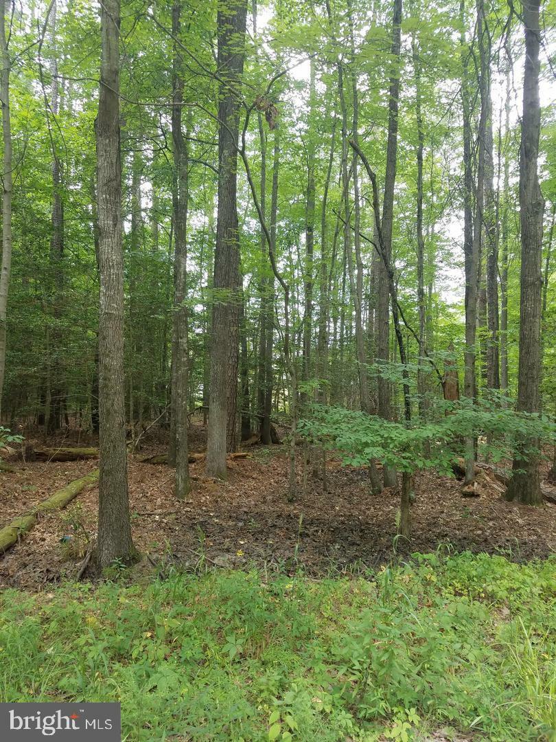 Property Photo:  Woodbine Lot 2  VA 22443 