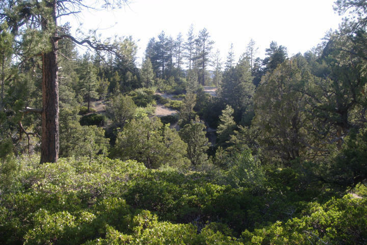 Property Photo: Lot 5 Zion Panorama 4 Lot #5 UT 84779