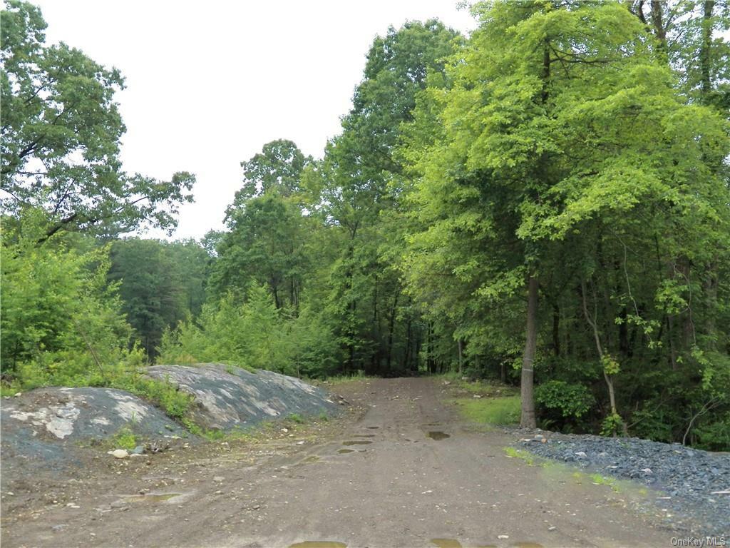 Property Photo:  Plattekill/East Road  NY 12542 