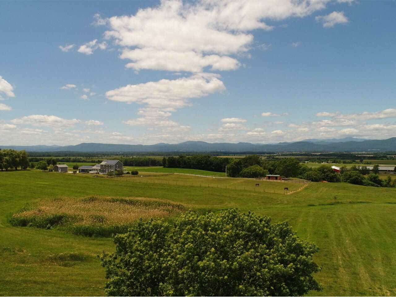 Property Photo:  4792 Vt Route 22A  VT 05491 