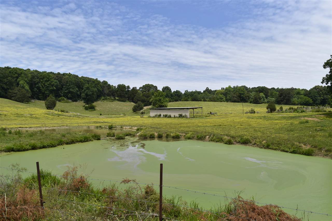 Property Photo: 339 County Road 728 TN 37370