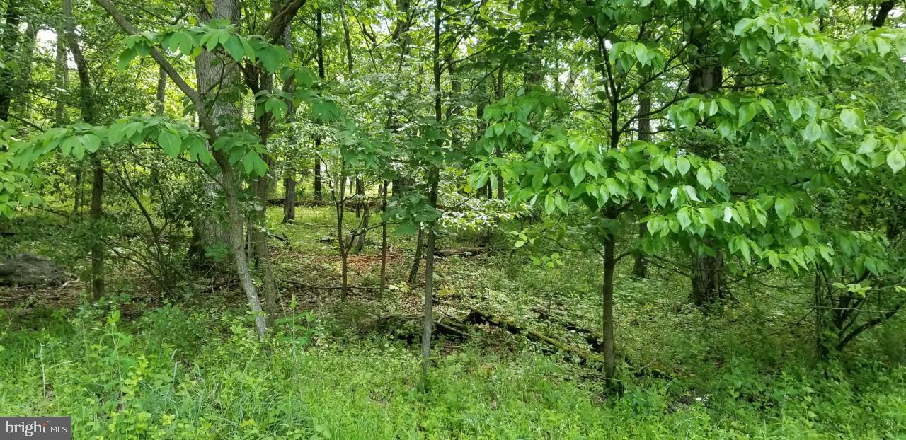 Property Photo:  19 Shirley Trail  PA 17320 